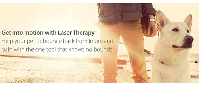 Introducing K-Laser for Pain Management