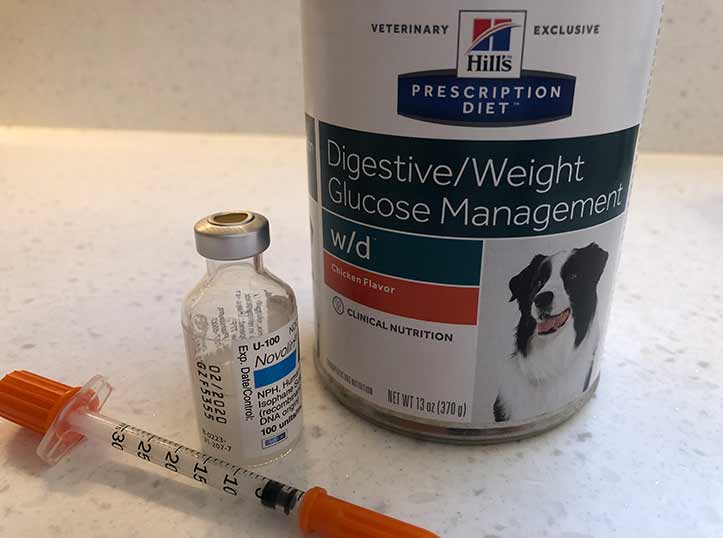 Pet Diabetes Awareness