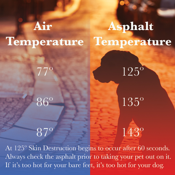 Hot Pavement, No Dogs Allowed