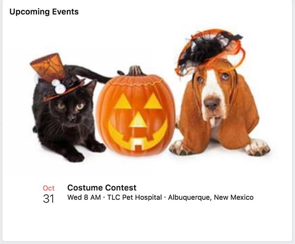 Costume Contest