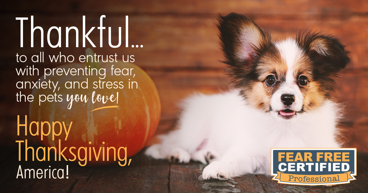 Thankful For Our Pets