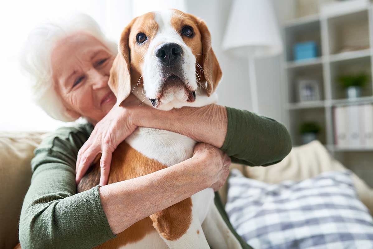 Love Your Pet Day