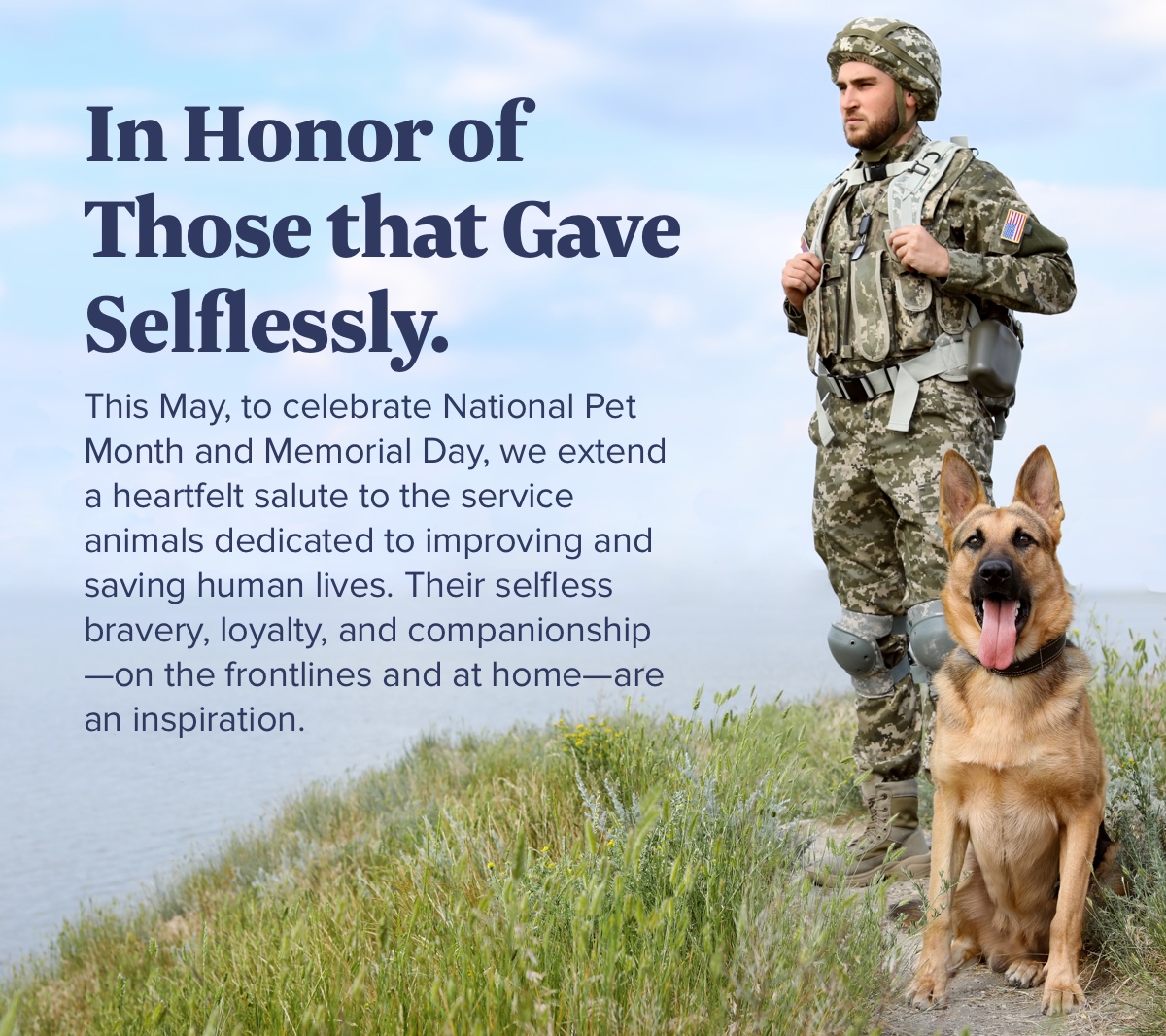 A Salute To Our Service Animals