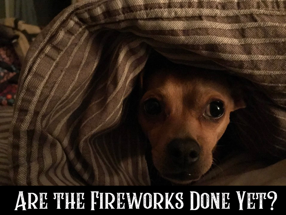 Fireworks Friendly
