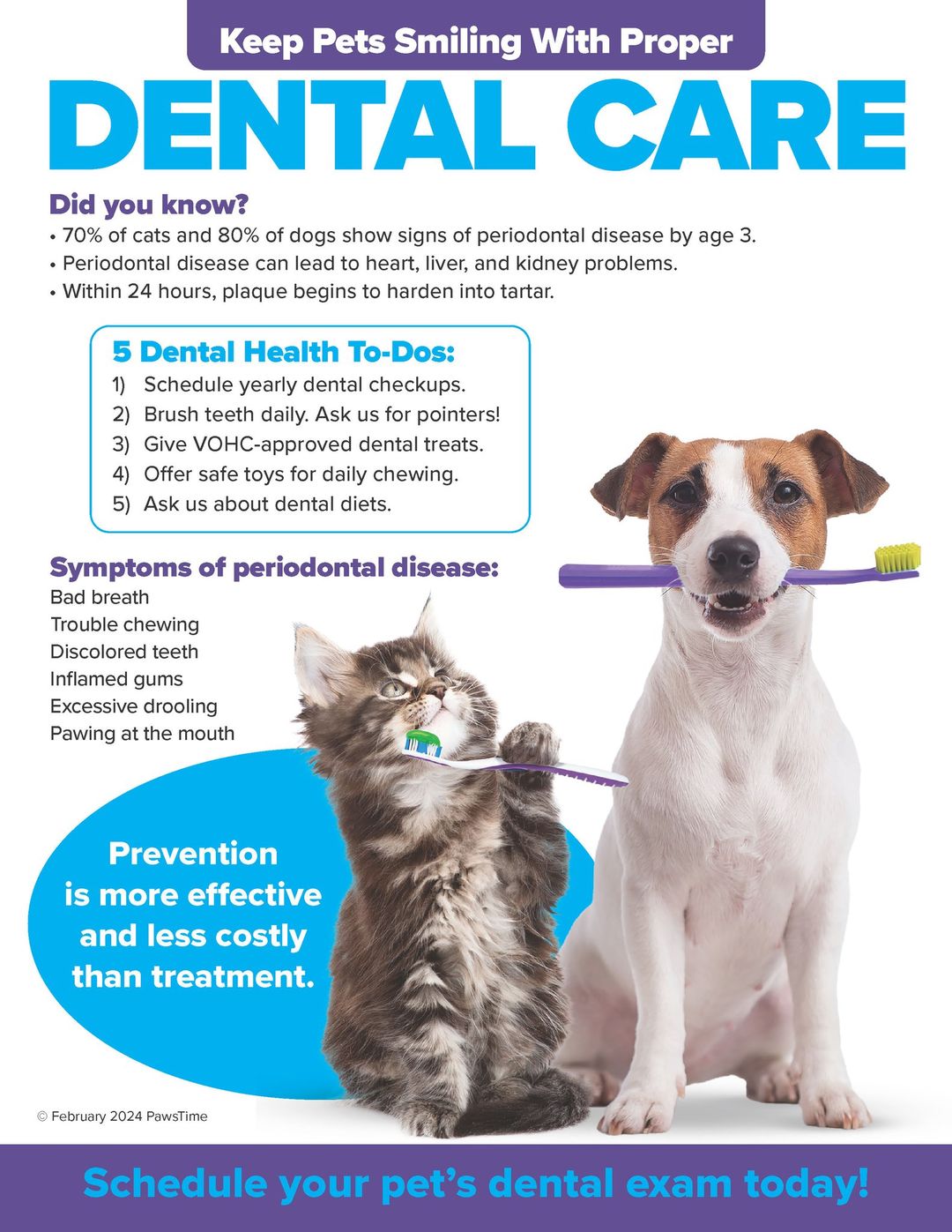 Dental Care is part of pet wellness
